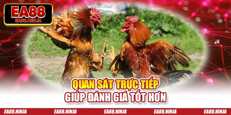 Quan sát trực tiếp giúp đánh giá tốt hơn
