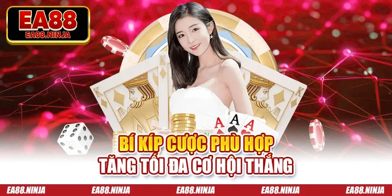 Bí kíp cược phù hợp tăng tối đa cơ hội thắng