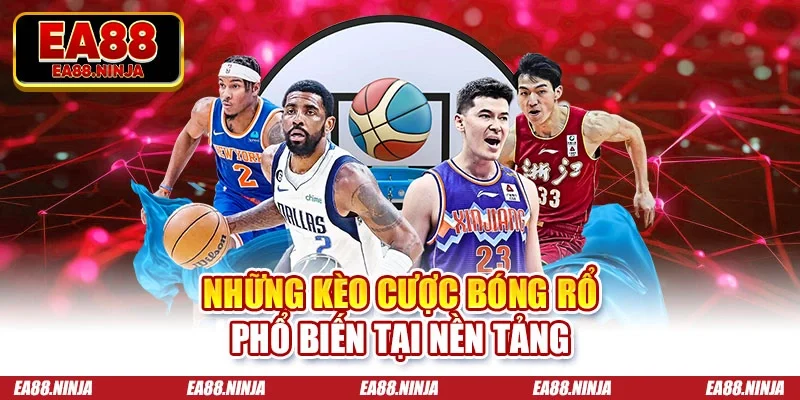 Những kèo cược bóng rổ phổ biến tại nền tảng