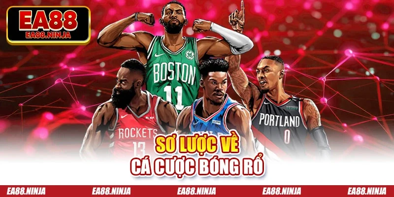 Sơ lược về cá cược bóng rổ