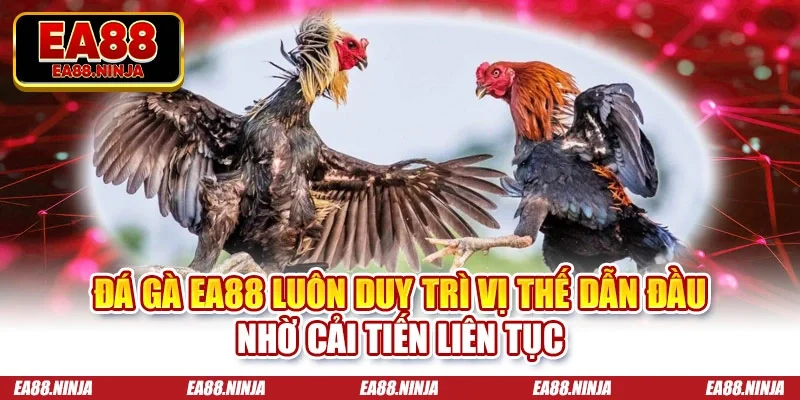 Đá Gà Ea88 Đá gà Ea88 luôn duy trì vị thế dẫn đầu nhờ cải tiến liên tục